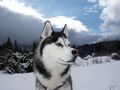 Thumbnail for version as of 12:10, February 5, 2013