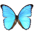 Thumbnail for version as of 04:21, May 15, 2015