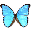 File:Emoticon butterfly.png