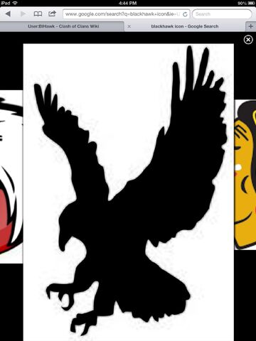 File:BlackHawk.jpeg