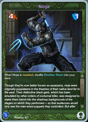 Promo7 Ninja