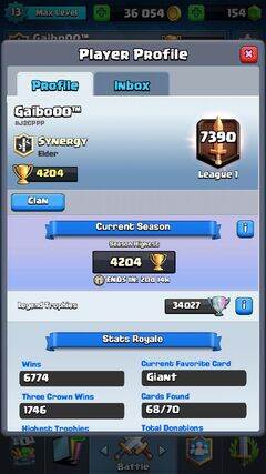 Player profile