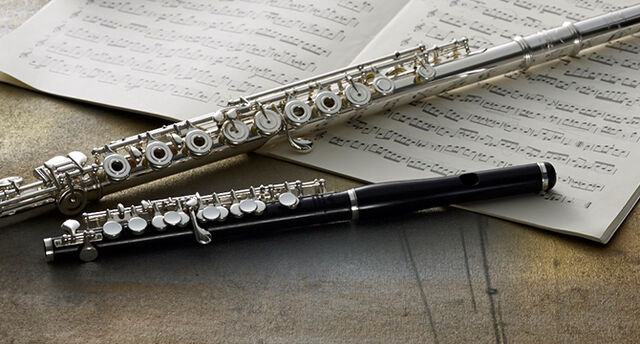 File:Flute piccolo slider.jpg