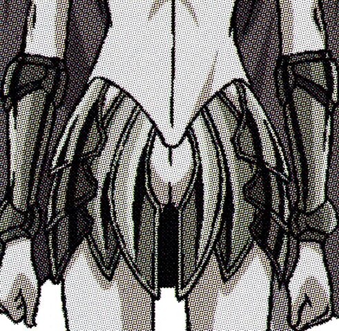 File:Rafaela's faulds.jpg