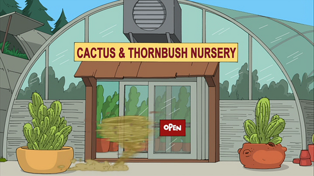File:Cactusthornbush.png