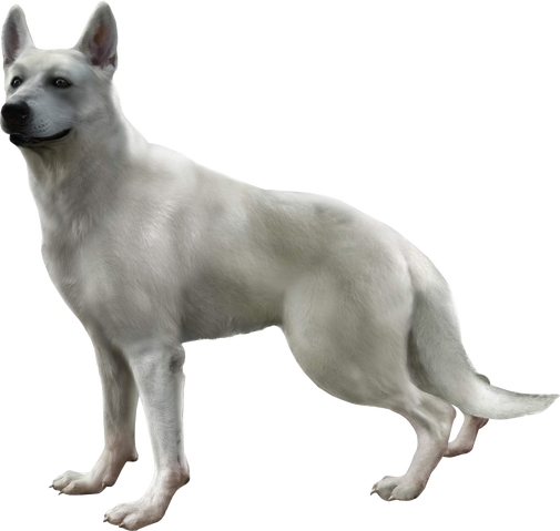 File:Hewie.png