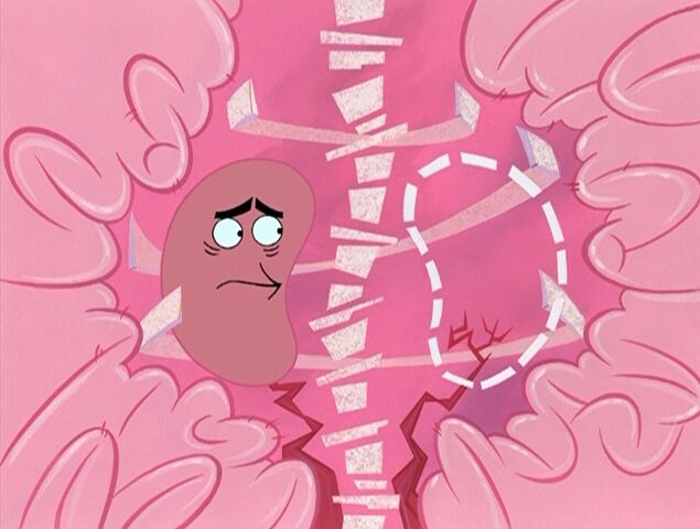 File:Gandhi's Talking Kidney.jpg