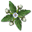 ImageScaleCAYDR504