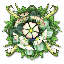 ImageScaleCAF71T1Q