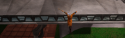 Prison-Break