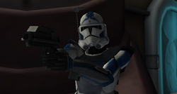 Fives CWA