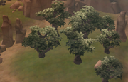 Ryloth fields
