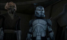 Wolffe and plo