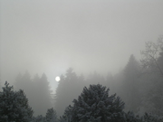 Stratus 1
