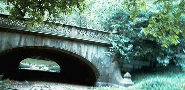 File:Cloverfield-0849.jpg