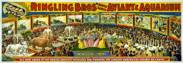 File:Circus Poster.jpg