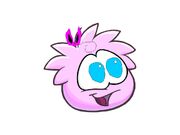 Jigglyp.jpg