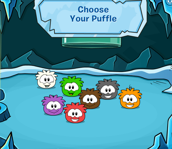 File:All My Puffles.png