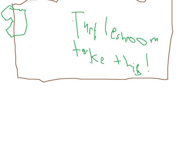 File:For Turtleshroom.jpg