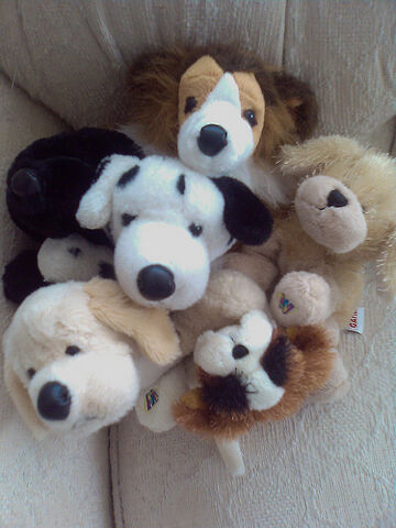 File:A cuddle of webkinz.jpg