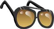 AviatorSunglasses