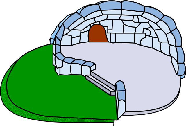 File:Backyard Igloo icon glitch.png