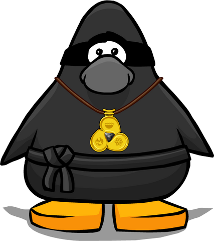 File:NinjaWithAmuletPlayerCard.png.png