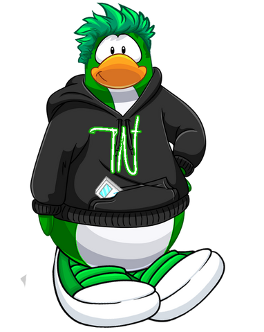 File:Titanium Ninja design.png