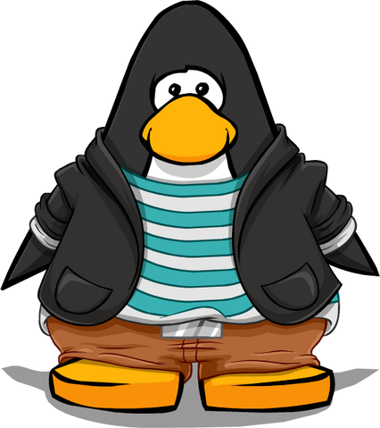 File:Clothing 14927 player card.png
