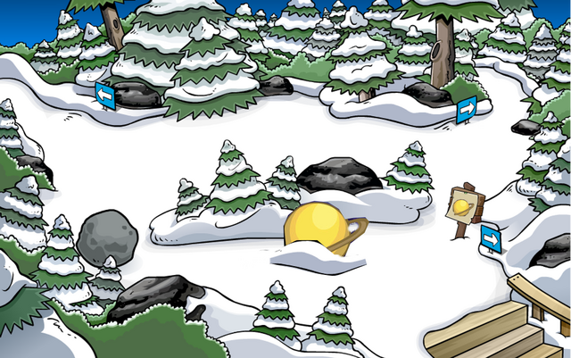 File:ForestAug6.png