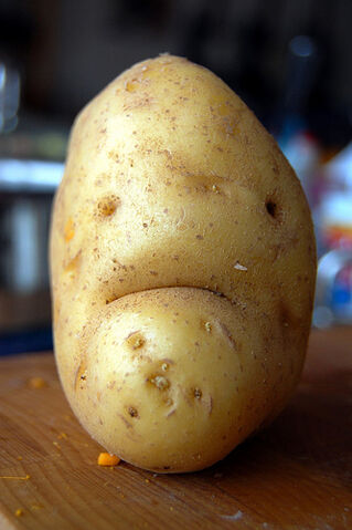 File:Mr. Grumpy Potato.jpg