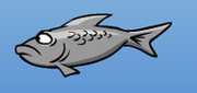 OneGreyFish.png