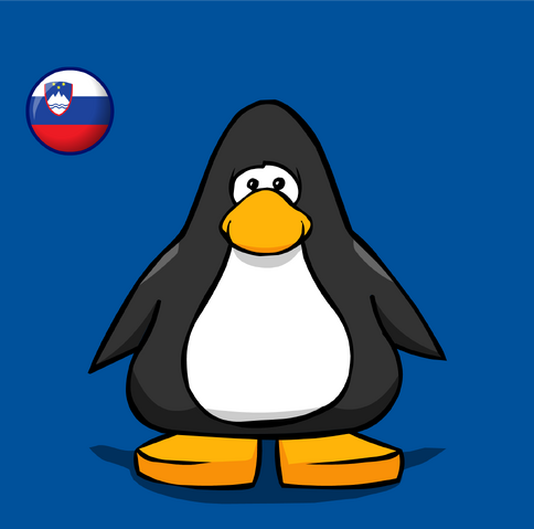 File:Slovenia Flag on a Player Card.png