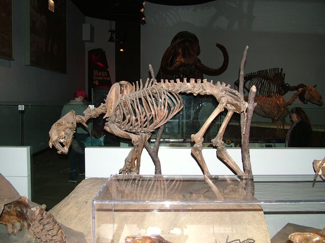 File:DSCF1757.jpg