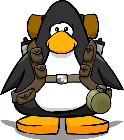 File:Clothing 316 player card.png
