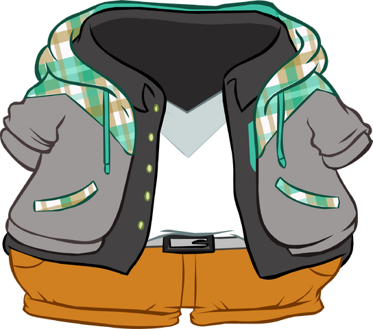 File:Plaid Hoodie Outfit icon.png
