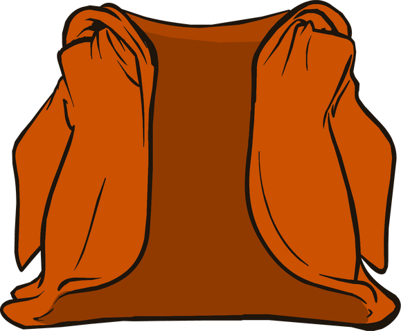 File:Orange Jedi Cloak.png