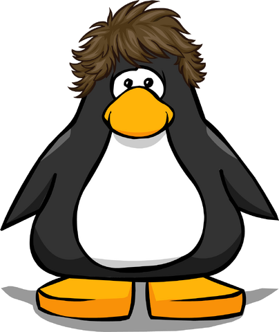 File:TheflipPC.png