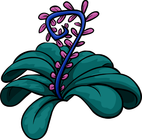 File:Jungle Bloom!.png