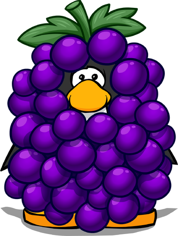 File:GrapeBunchPC.png