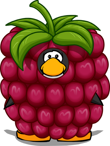 File:RaspberryCostume.png