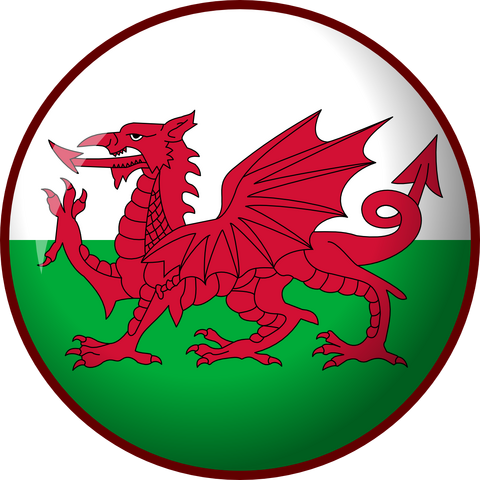 File:Custom Flags to C H U N K Y.png