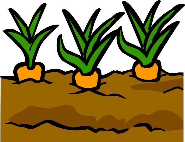 File:Garden.png