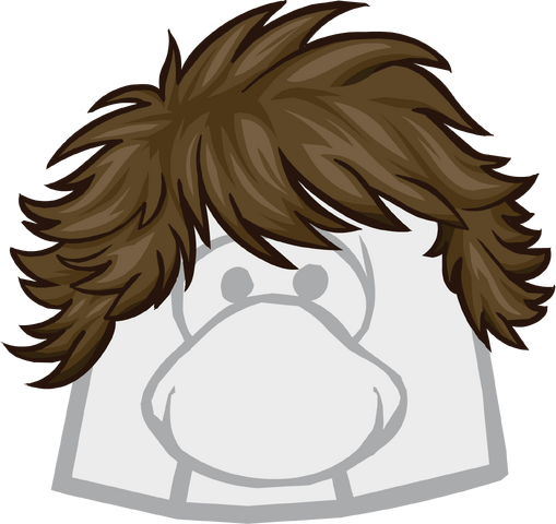 File:The Flip clothing icon ID 1162.png