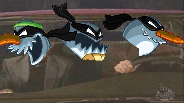 File:What is Card-Jitsu Snow.jpg