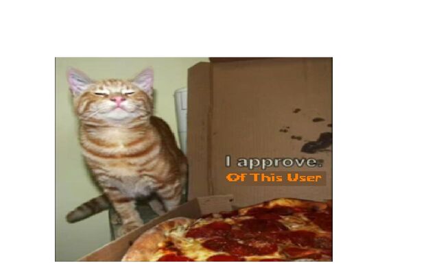 File:I approve.jpg