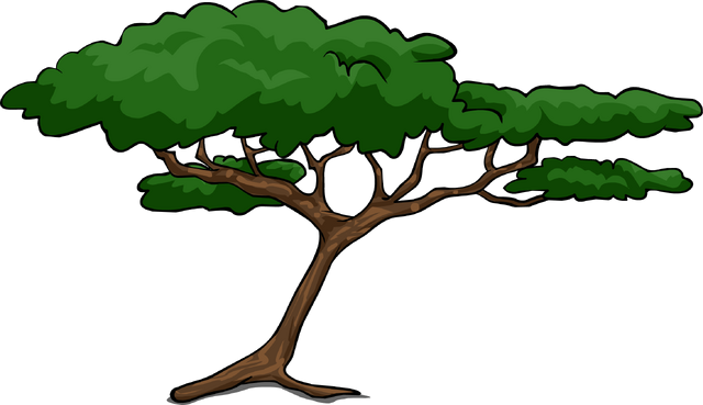 File:Acacia Tree.png