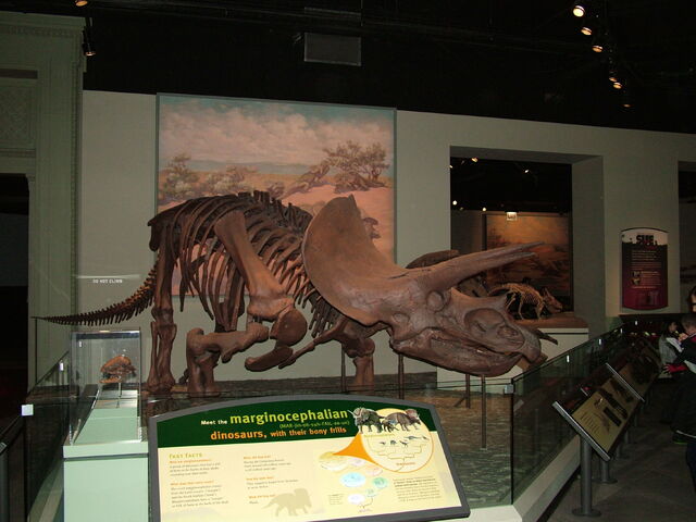File:DSCF1738.jpg