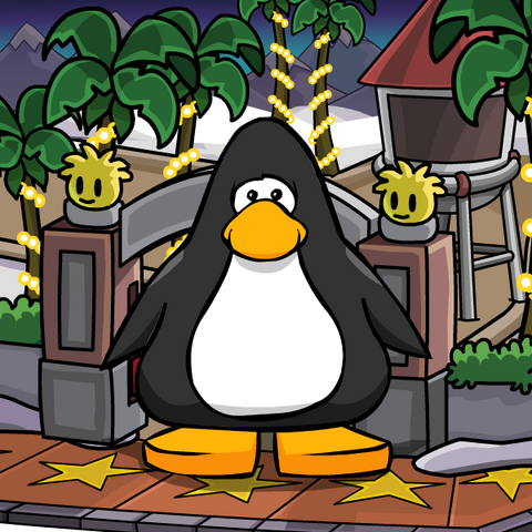 File:Cp (11).png