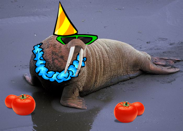 File:Shurow the Walrus.png
